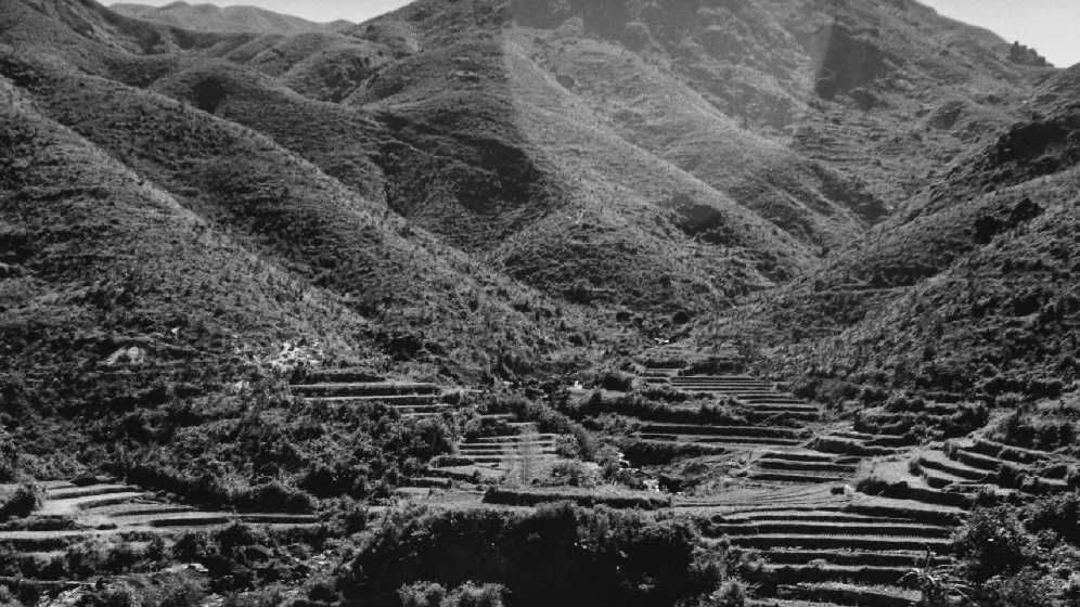 Hillside Terraces